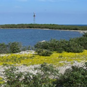 Michigan Islands National Wildlife Refuge