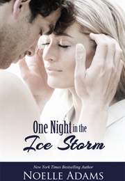 One Night in the Ice Storm (Noelle Adams)