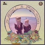 Ty Segall & Mikal Cronin - Reverse Shark Attack