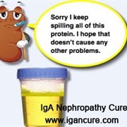 Iga Nephropathy