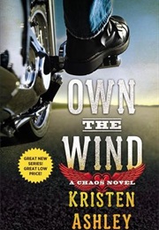 Own the Wind (Kristen Ashley)
