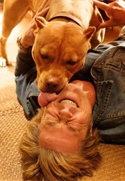 Sayuri as Brandy (Once Upon a Time in Hollywood) (2019)