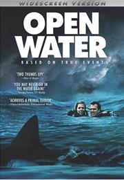 Blanchard Ryan - Open Water