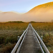West Rutland Marsh, Vermont