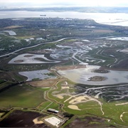West Canvey Marsh