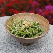 Stringy Stonecrop (Sedum Sarmentosum)
