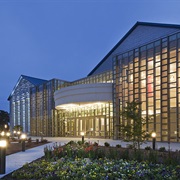 Francis Marion University