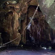 Gomantong Caves