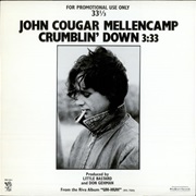 John Mellencamp - Crumblin' Down