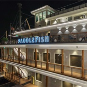 Paddlefish