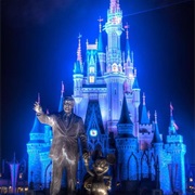 Disneyland/Disneyworld (California/Florida)