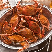 Atlantic Blue Crab (Callinectes Sapidus)