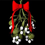 Kiss Under a Mistletoe