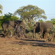 Mosi-Oa-Tunya National Park