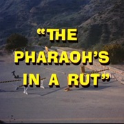 The Pharaoh's in a Rut