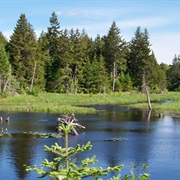 Moosehorn National Wildlife Refuge