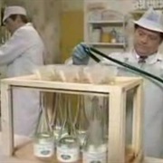 Special 12: Mother Nature's Son