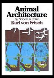 Animal Architecture