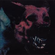 Protomartyr - Under Color of Official Right