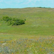 Northern Tallgrass Prairie National Wildlife Refuge