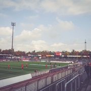 Südstadion (Köln)