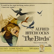 The Birds