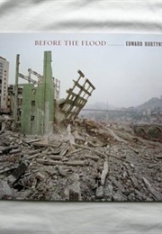 Before the Flood (Edward Burtynsky)