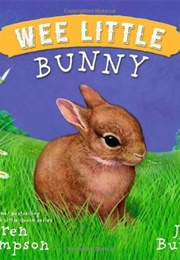 Wee Little Bunny (Lauren Thompson)