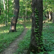 Ambrose A. Call State Park, Iowa
