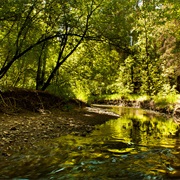 Mill Creek Ravine