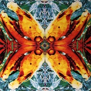 Acid Horse- No Name, No Slogan