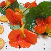 Nasturtium