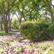 Reginald the Grasshopper, Regina, Saskatchewan