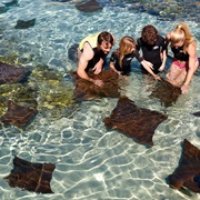 Discovery Cove, Florida