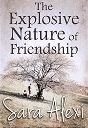 The Explosive Nature of Friendship (Sara Alexi)