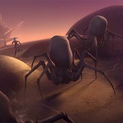 The Mystery of Chopper Base