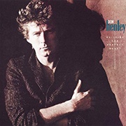 Building the Perfect Beast - Don Henley