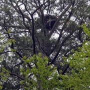 Wallops Island National Wildlife Refuge