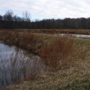 Sam Parr State Fish and Wildlife Area, Illinois