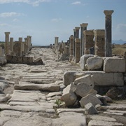 Laodicea on the Lycus