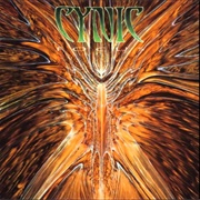 Textures - Cynic