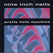 Nine Inch Nails : Pretty Hate Machine.