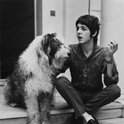 Martha (Martha My Dear)