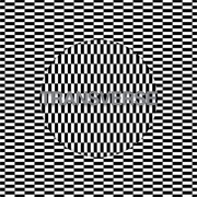 Carter Tutti - Void Transverse