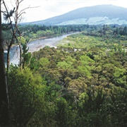 Pokaka Mill Central NI