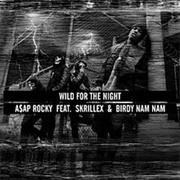 Wild for the Night - A$AP Rocky Ft. Skrillex, Birdy Birdy Nam