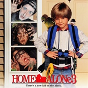 Home Alone 3