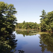 Harold Parker State Forest, Massachusetts