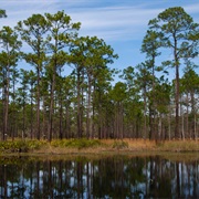 Ochlockonee River State Park, Florida