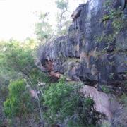Alwal National Park (QLD)
